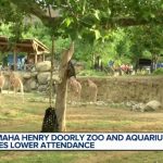 Omaha's Henry Doorly Zoo is seeing a decline in visitor numbers