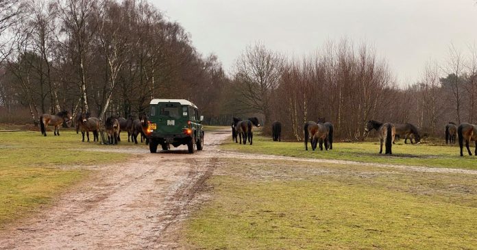 Deadly warning to Sutton Park visitors: 