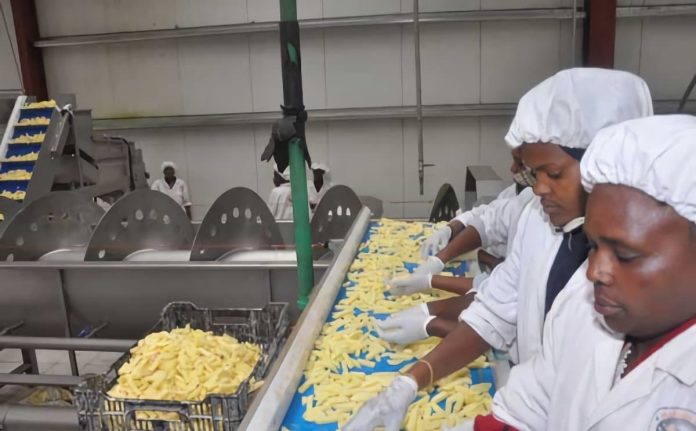 Over 200 have been left unemployed when Nyandarua's food processing company Midlands closes -


