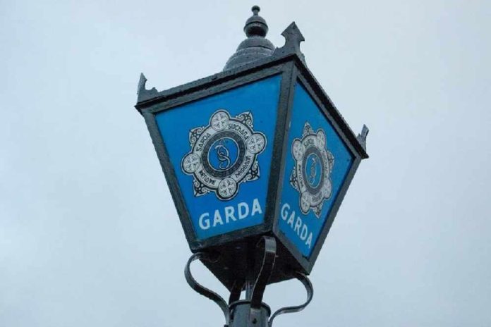 Man Still In Custody In Relation To Suspected Fatal Laois Assault
